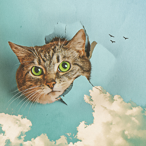 China高中自慰男
