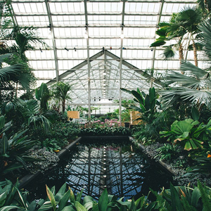 China高中自慰男
